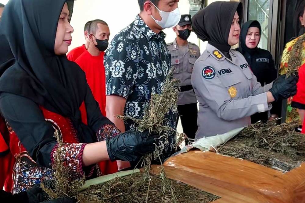 Bongkar Jaringan Ganja Jogja-Medan-Aceh, Polda DIY Temukan Ladang Ganja 3 Hektare