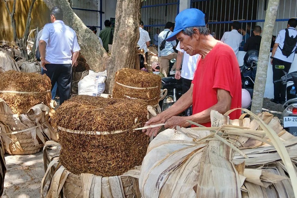 Pabrik Rokok di Temanggung Diminta Segera Beli Tembakau di Petani