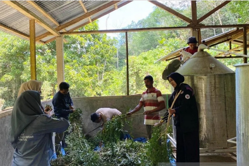 Merajut Asa dari Pinggiran Hutan Tanjung Bonai Aur di Sumbar