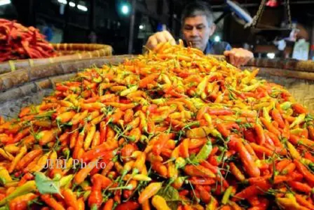 Harga Cabai Hari Ini Turun Jadi Rp42.270 per Kilogram