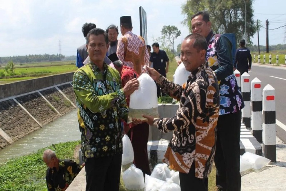 DKP Kulonprogo Serahkan Bantuan 10.000 Benih Ikan Wader dan Tawes ke Kelompok Anom Mina Lestari