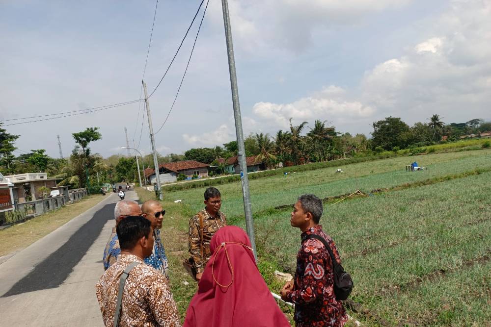 Terancam Gagal Panen, Ratusan Hektar Tanaman Bawang Kulonprogo Terserang Hama