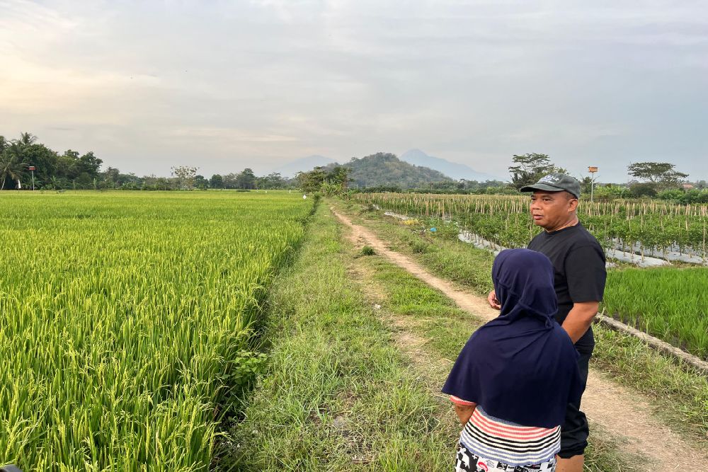 Aliran Air di Selokan Van Der Wijck Dibuka Lagi, Harda Kiswaya Tegaskan Komitmen untuk Petani