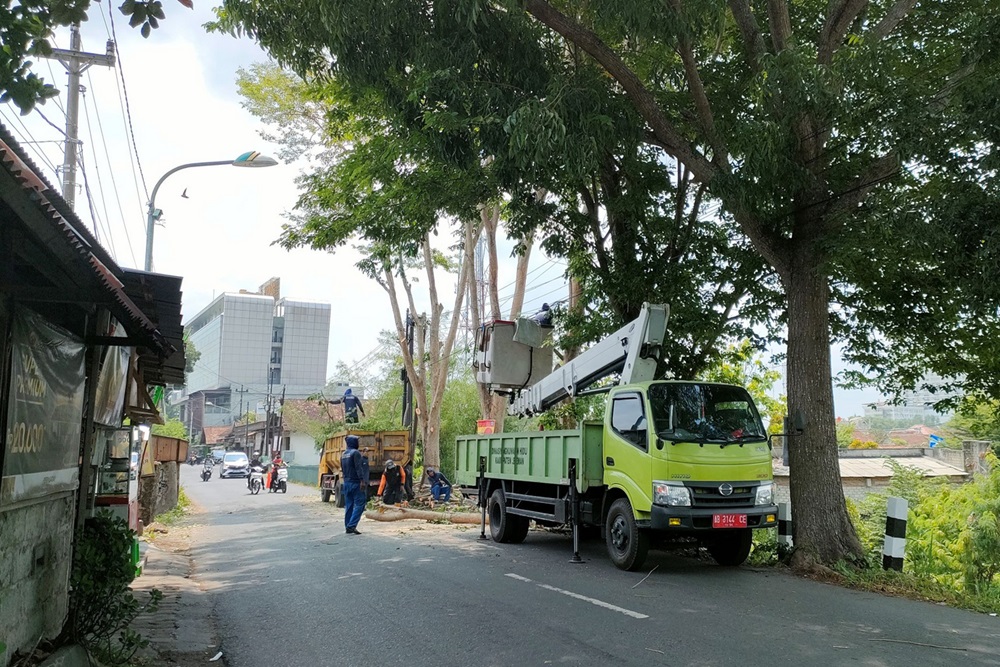 Dinas Lingkungan Hidup Sleman Siapkan Lima Tim Pemangkasan Pohon Cegah Bencana di Musim Hujan