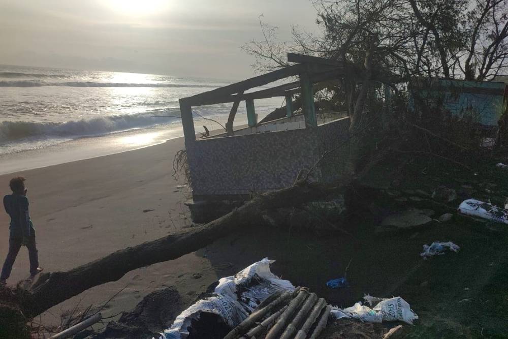 Pembangunan Penangkaran Penyu Diusulkan di Pantai Trisik, Lahannya 1.000 Meter Persegi