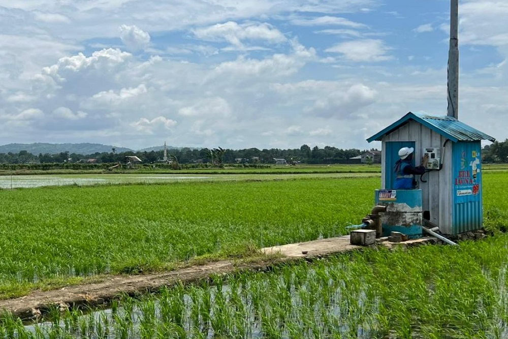 Kembangkan Kawasan Pertanian Sehat, Hasil Panen Padi di Sleman Bisa Tembus 9 Ton Per Hektarnya