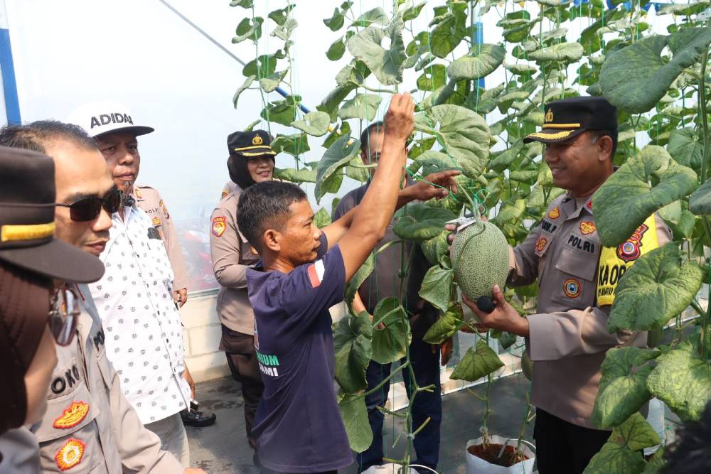Green House Melon di Wanadelima Orchard Pengasih Diresmikan Dukung Kedaulatan Pangan