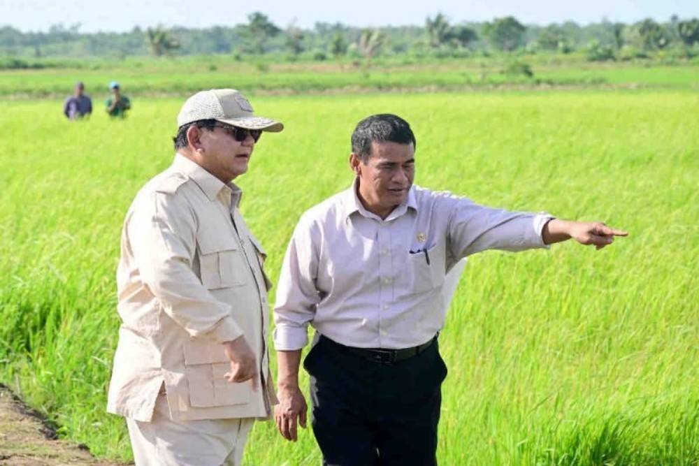 Prabowo Ingin Percepat Swasembada Pangan di Papua