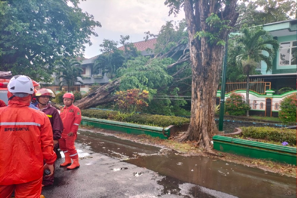 Hujan Disertai Angin Bikin Sejumlah Pohon Tumbang dan Menimpa Bangunan SMA di Bantul