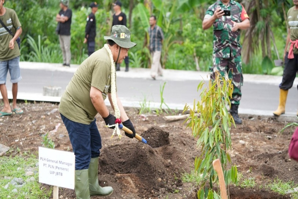 Jelang Natal danamp; Tahun Baru, PLN UIP JBTB Dukung Program Agroforestry dengan Manam 617 Pohon Buah-Buahan Berkayu