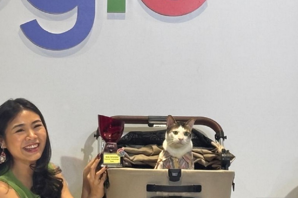 Google Beri Penghargaan pada Bobby Kertanegara Si Kucing