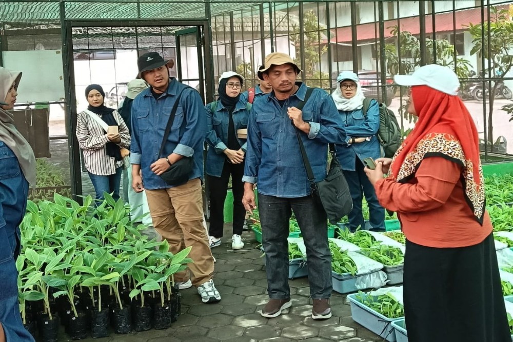 Plasma Nutfah Pisang Kota Jogja Mendapat Perhatian Industri dari Bontang