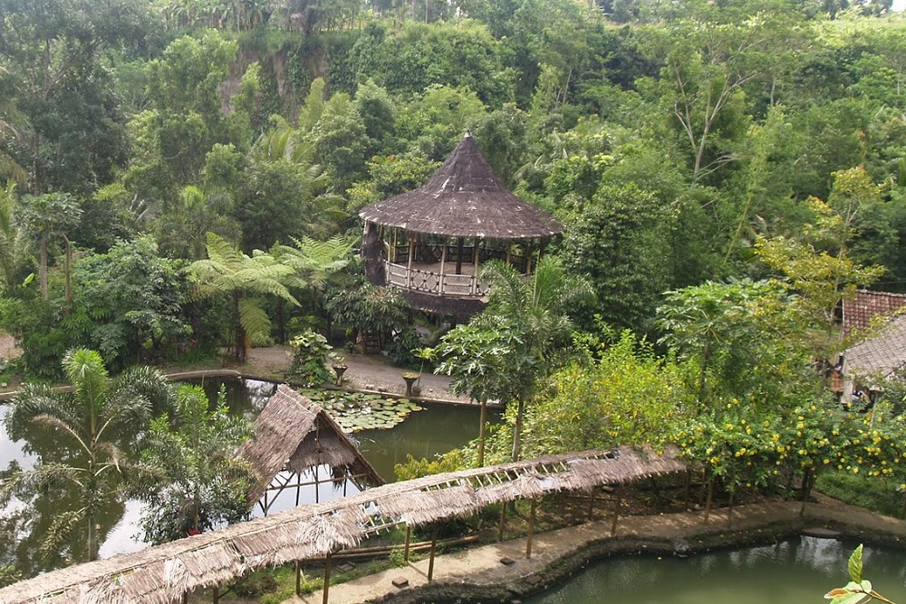 Menginap di Desa Wisata Pentingsari Sleman, Wisatawan Diajak Bikin Menangkap Ikan hingga Belajar Menari