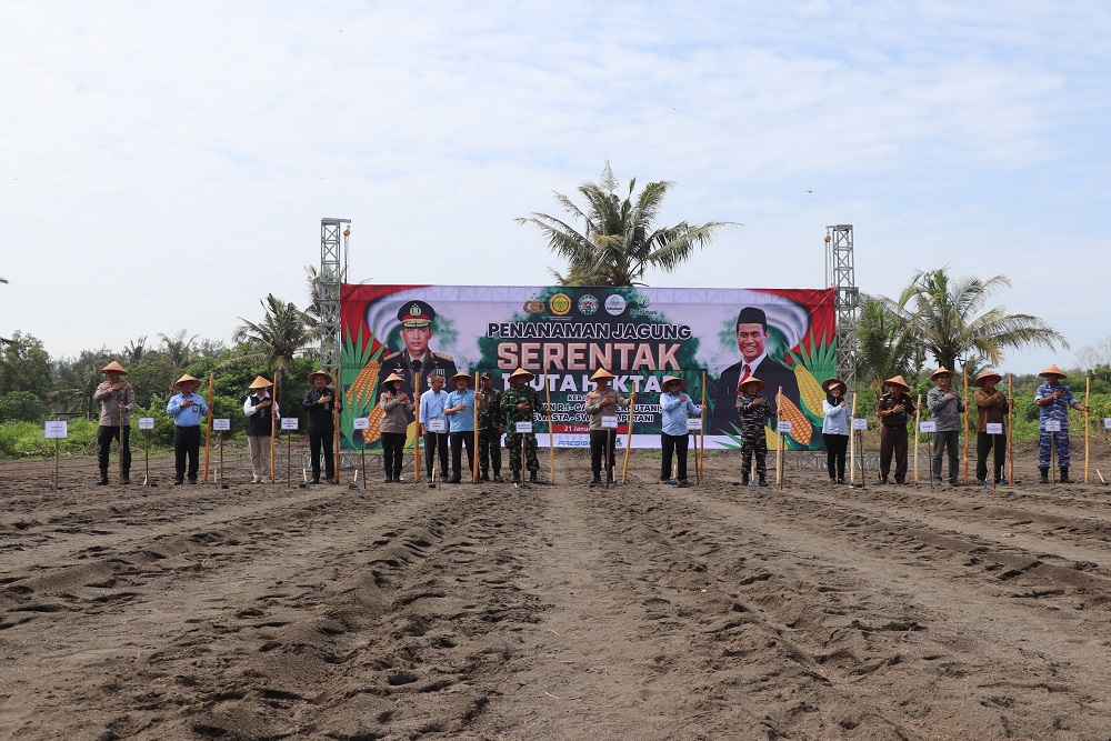 Dukung Swasembada Pangan, Polda DIY Lakukan Gerakan Penanaman jagung di Lahan Seluas 4.300 Hektare