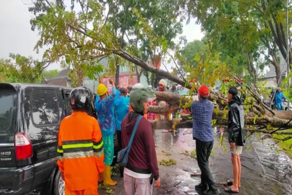 Pohon Tumbang di Karanganyar Menimpa Dua Mobil, Dua Orang Terluka