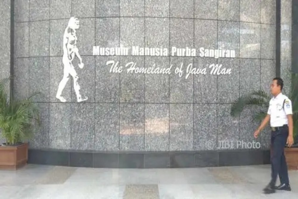 Penjelasan Museum Sangiran Sragen Terkait Asal Nama The Homeland of Java Man