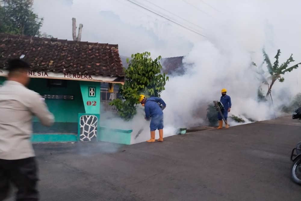 Kasus DBD di Kulonprogo Meningkat, Serang 20 Warga Satu Padukuhan, 1 Orang Meninggal