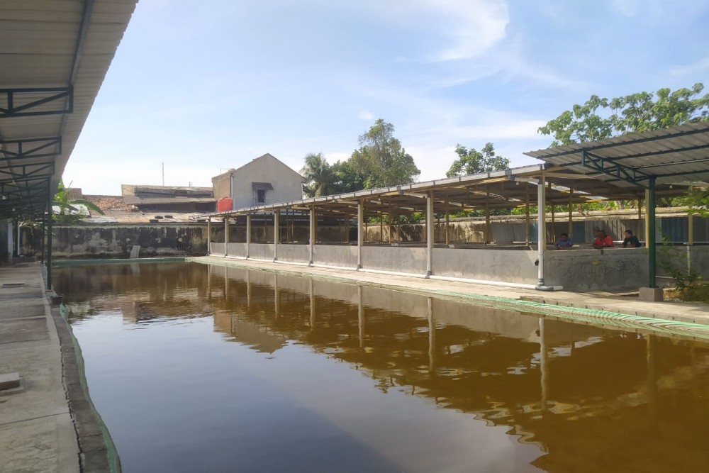 Rumah Edukasi Ikan Lahir di Kulonprogo