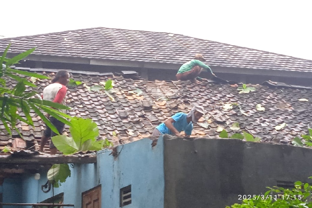 Dampak Hujan Es dan Angin Kencang, Pohon Tumbang Timpa Sejumlah Rumah Hingga Ruko di Sleman