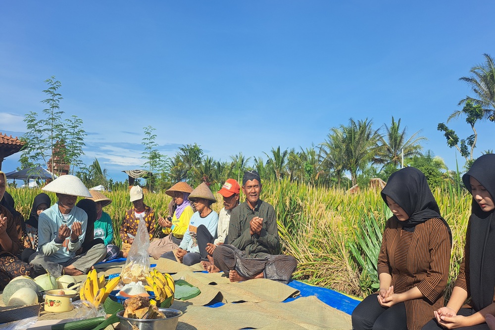 التحديث والحل الوسط والجهود المبذولة للحفاظ على تقليد Wiwitan في Turi Sleman