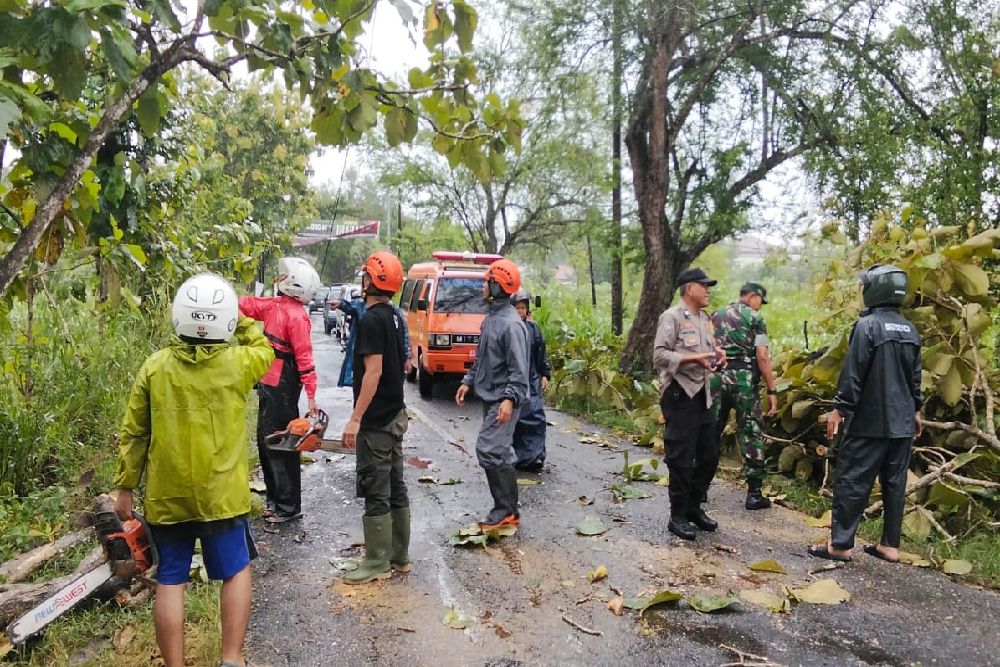 Hujan Deras di Gunungkidul Sebabkan Pohon Tumbang dan Longsor