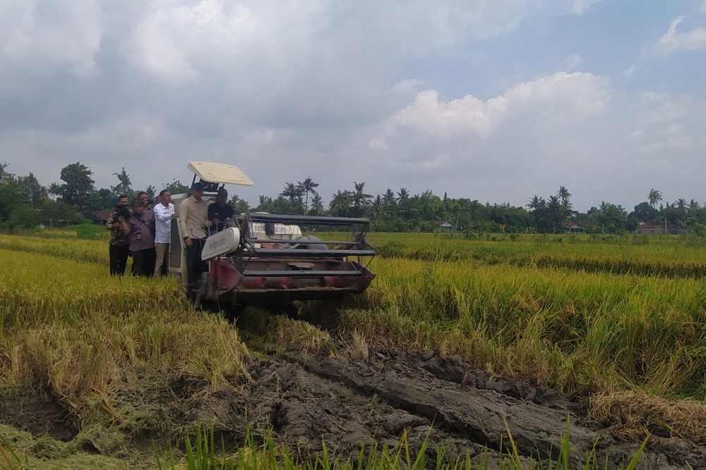 Wamentan Sebut Konsistensi Produksi Padi di Bantul Terbaik Nasional