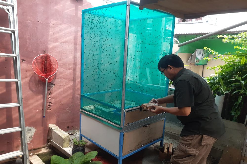 Budi Daya Magot, Bank Sampah Sekarwangi 04 Mampu Serap Hingga 50 Kg Sisa Dapur Setiap Hari