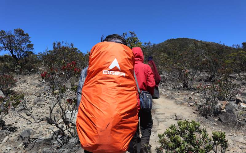 Dugaan Pungli di Jalur Pendakian Gunung Lawu Viral, Pendaki Dipungut Biaya Sewa Selendang