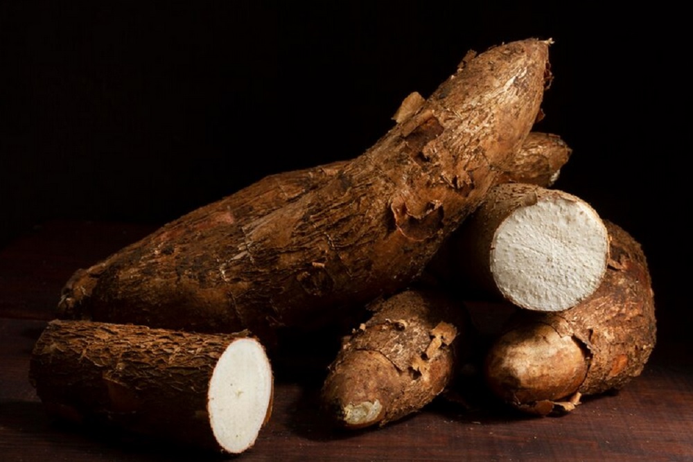 Harga Jual Anjlok, Petani Singkong Diminta Fokus pada Kualitas