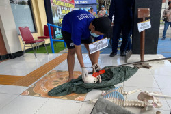 Rekonstruksi Pemuda Bunuh Pacar di Bantul, Seret Mayat ke Gudang hingga Masukkan Kerangka ke Trash Bag