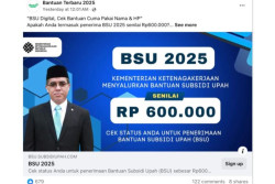 Muncul Hoaks Link untuk Mengecek Status BSU, Jangan Keliru Ini yang Seharusnya