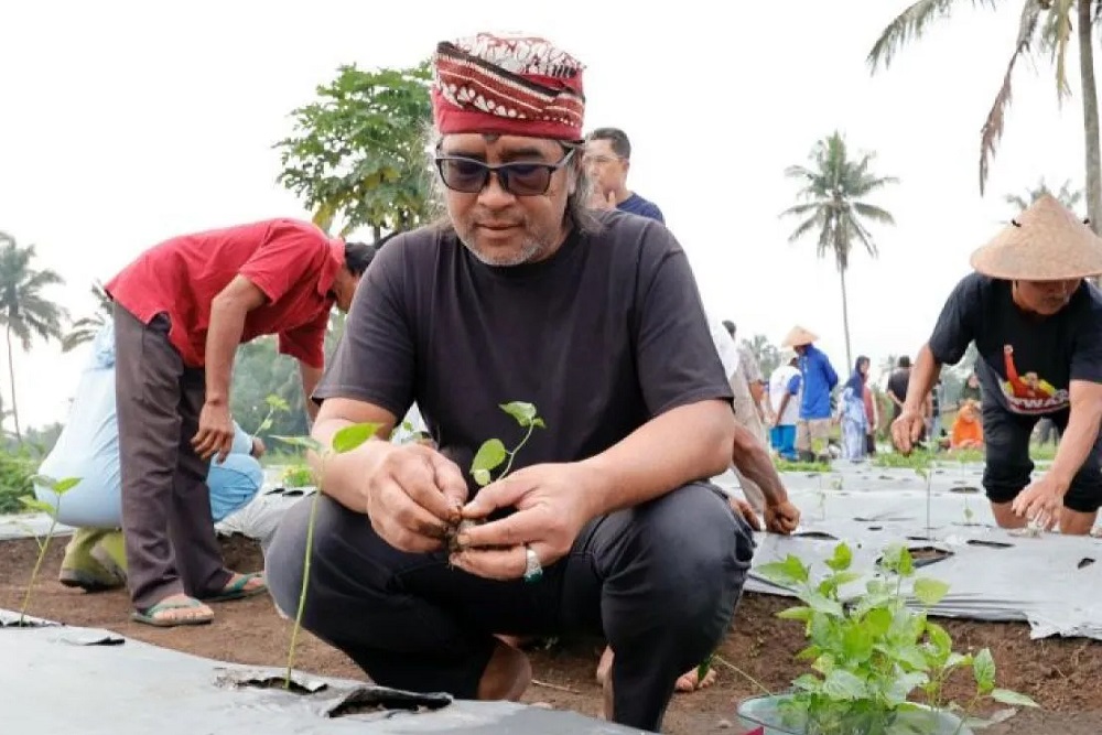 Petani Cabai yang Produktif di Temanggung Bakal Dapat Hadiah Uang Tunai