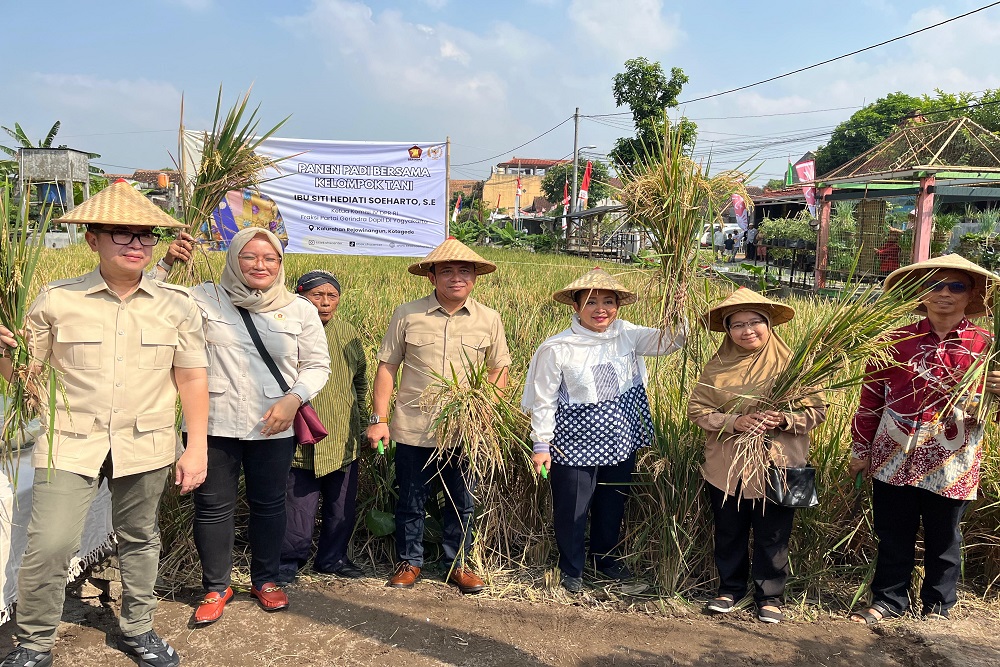 Panen Raya Padi, Titiek Soeharto Kagum Masih Ada Lahan Pertanian di Tengah Kota Jogja