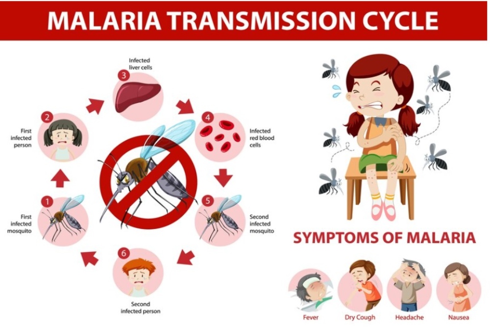 39 Kasus Malaria Ditemukan di Kota Jogja Sejak Awal Tahun