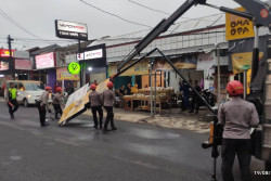 Dampak Angin Kencang di Sleman, Pohon Tumbang hingga Genting Beterbangan