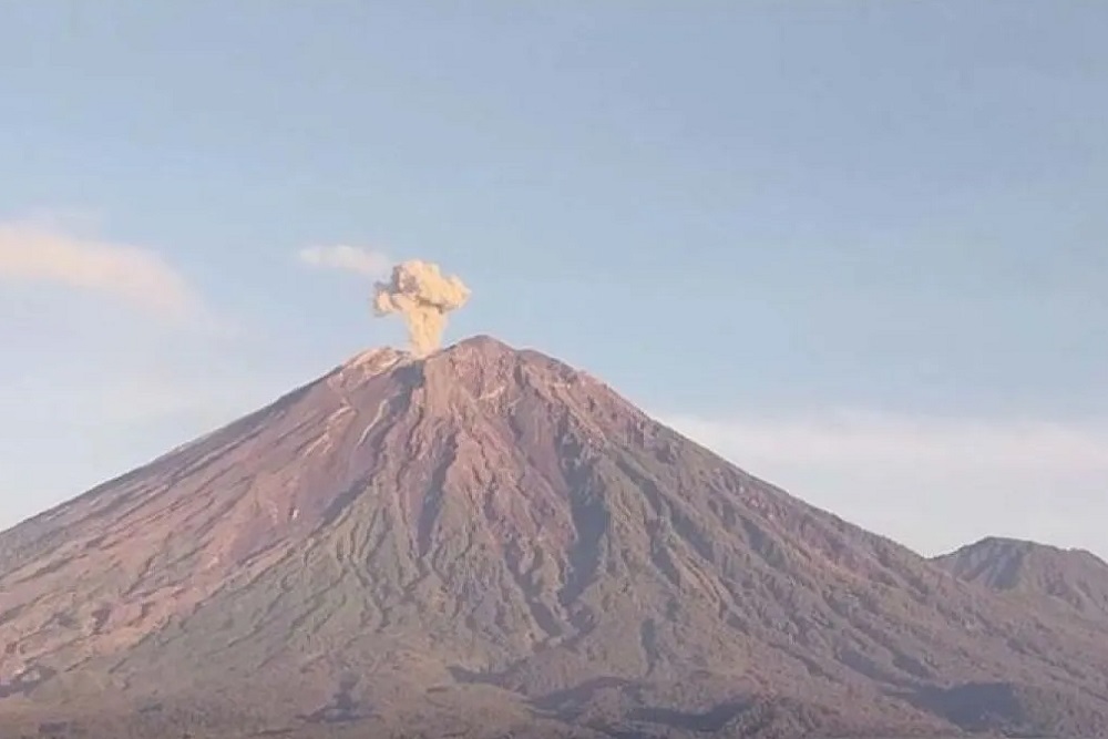 Gunung Semeru Alami 4 Kali Erupsi Pagi Ini, Ketinggian Letusan 1 KIlometer