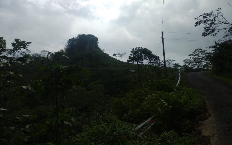 Polemik Tanah Bukit Bintang, Pemkab Bantul: Status TKD Berdasarkan Perdes Srimulyo
