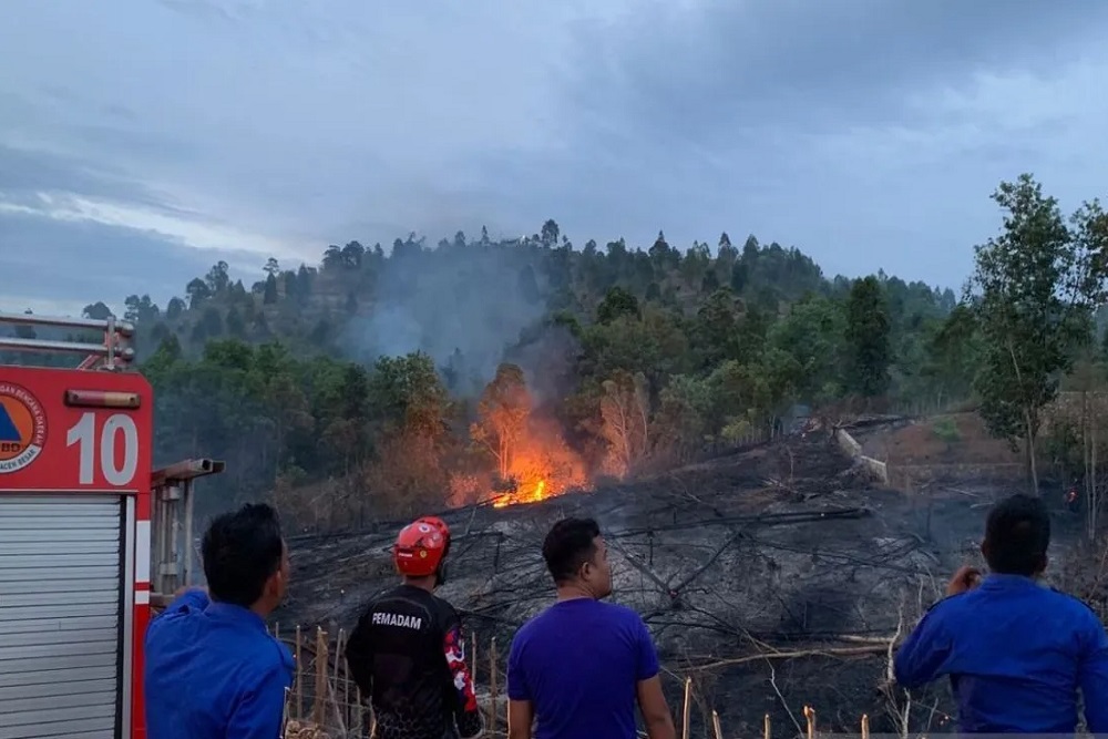 Kebakaran Hutan dan Lahan Terjadi di Sragen, Klaten, dan Aceh