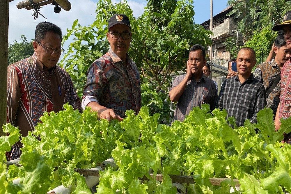 Warga Patangpuluhan Jogja Manfaatkan Sampah Jadi Lahan Pertanian Produktif