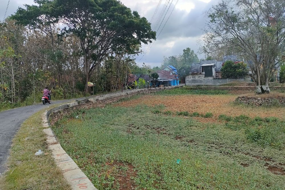 Terdampak Kemarau, Telaga di Gunungkidul Mulai Mengering