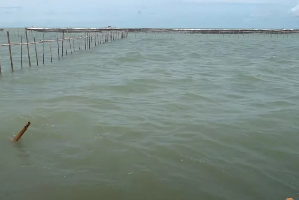 Pengamat Kritisi Kasus Pagar Laut Bekasi yang Hanya Berhenti di Tersangka