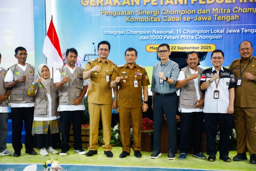Harga Cabai di Jateng Terkandali, Ahmad Luthfi Apresiasi Petani