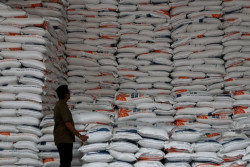 Jaminan Pemerintah Membeli Gabah Petani