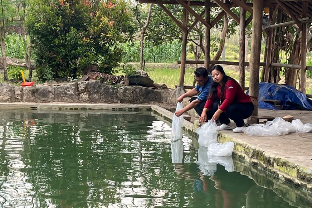 Pemkab Gunungkidul Salurhkan Benih Ikan ke Kelompok Masyarakat