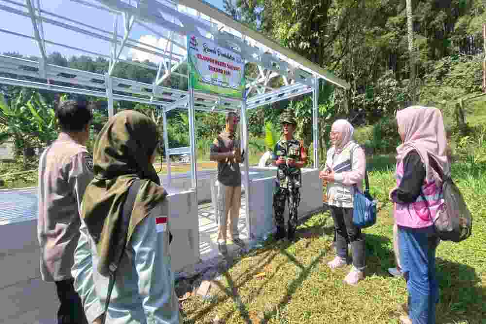 PLN Peduli Dorong Kemandirian Perempuan Desa Linggoasri Lewat Bibit Organik