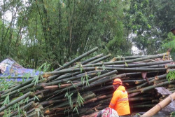 Hujan Lebat dan Angin Kencang Terjang Jember, 2 Warga Meninggal Dunia