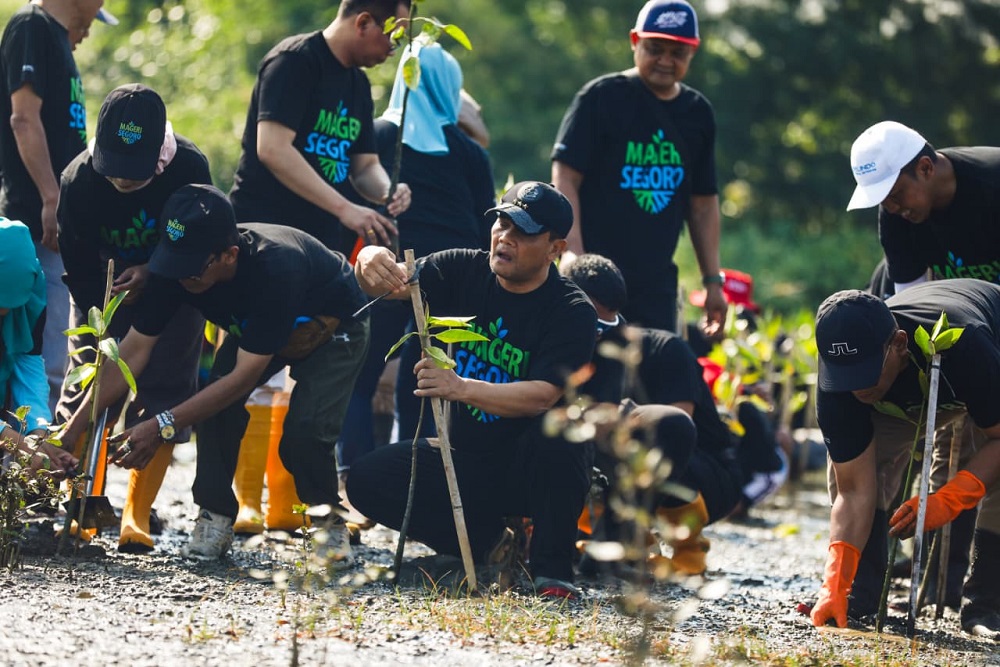 Ahmad Luthfi Pimpin Penanaman Jutaan Bibit Mangrove Secara Serentak