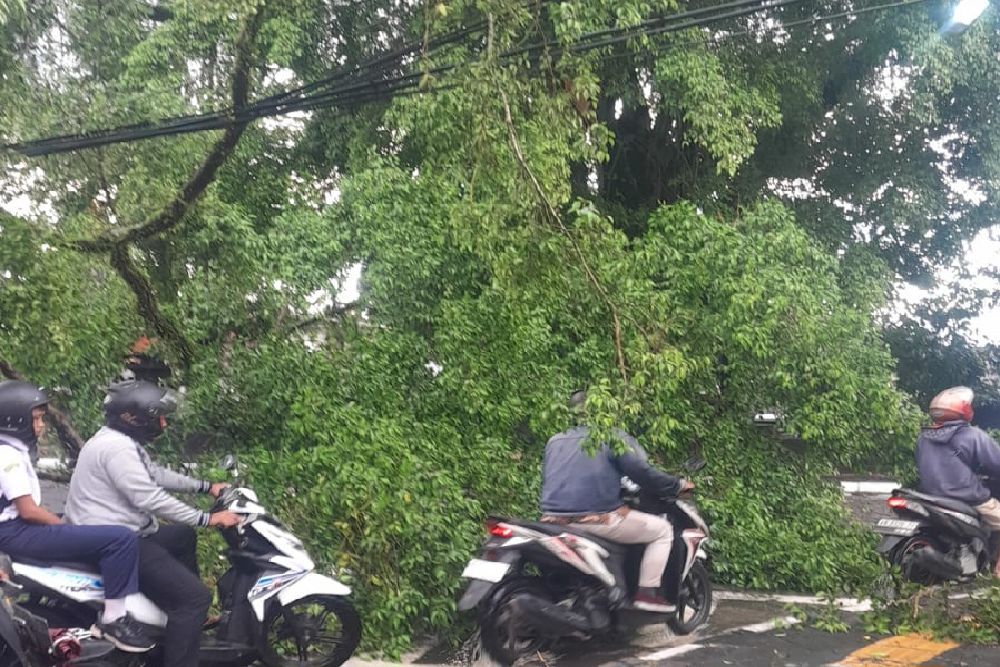 Dampak Hujan Angin di Sleman, Pohon Tumbang Timpa Mobil