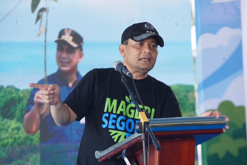 PLN Rehabilitasi Mangrove dalam Program Mageri Segoro