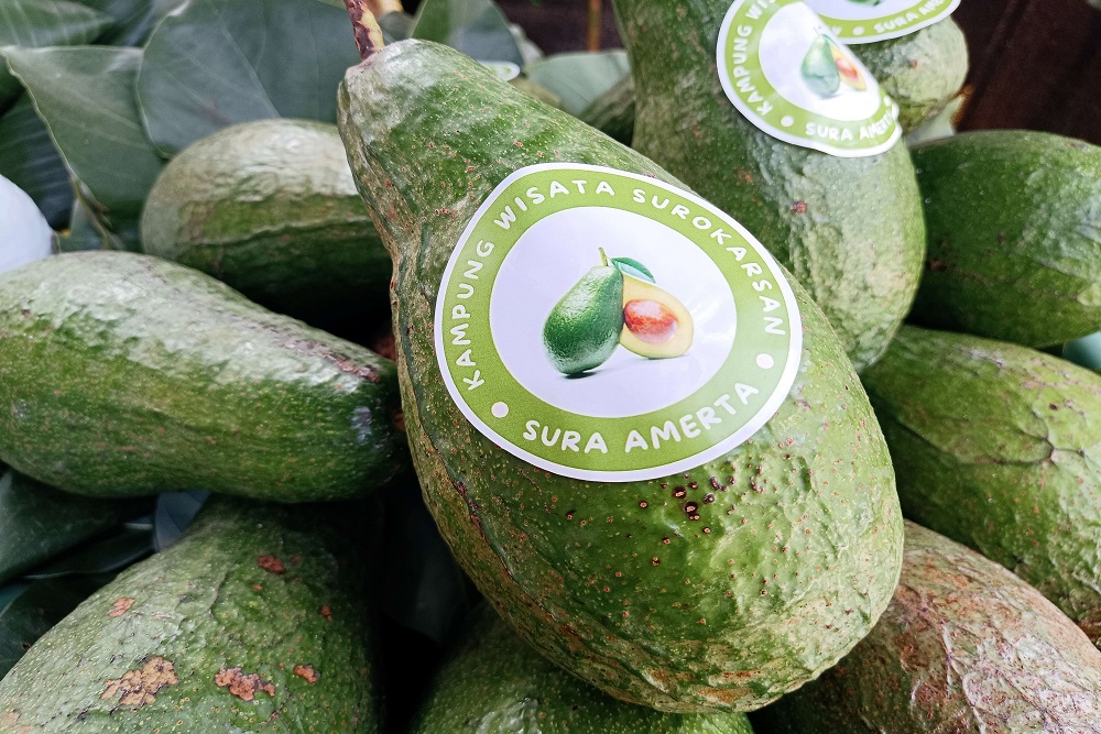 Tiga Buah Lokal Jogja Diajukan untuk Sertifikasi Varietas